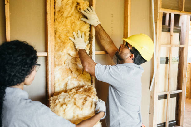 Best Garage Insulation  in Forestville, OH